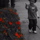 Foto de Maggie Manders-Stewart
