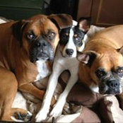 Becky Cale's photo