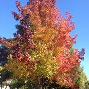 Bill Bitz's photo
