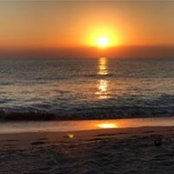 John Mancini's photo