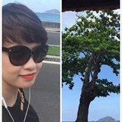 Yen Le's photo