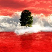 Hafez Ltaif's photo