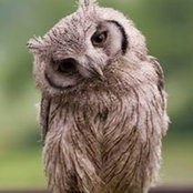 Nathalie F. Moureau's photo