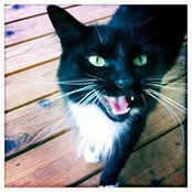 Jason Hume's photo