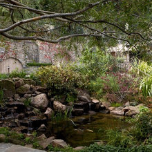 bj's koi pond