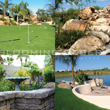 Water Features