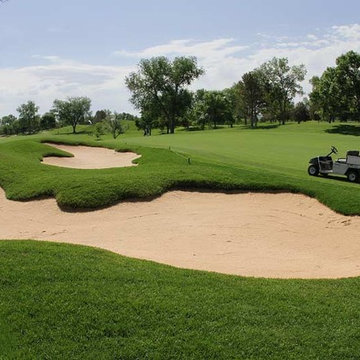 RTF® Water Saver Sod is used on golf bunkers due to its lower water use.