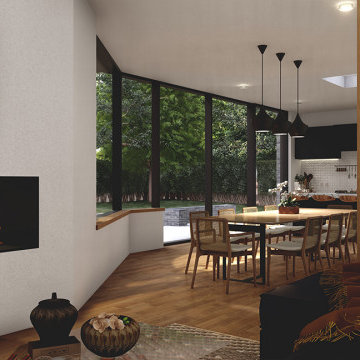 Concept design for a refurbishment and extension of a 1950’s era house in Cork