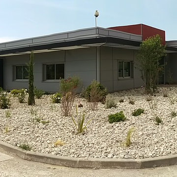 Jardin artemisia