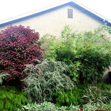 Mystical Habitat Garden