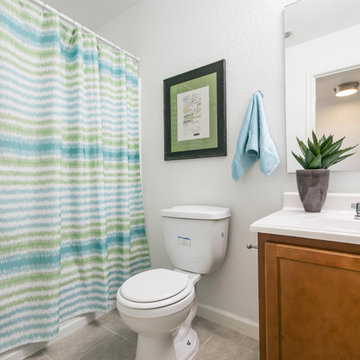 San Antonio Staging