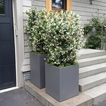 Container Planting Designs