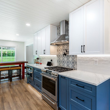 Blue and White Kitchen with Playful Pattern – Olney, MD