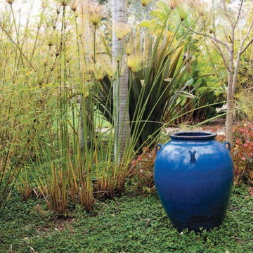 Encinitas Ranch Landscape Design