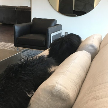 Montecito Modern