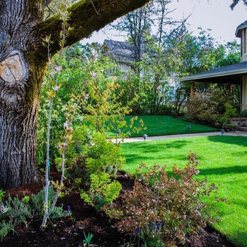 Landscape Maintenance