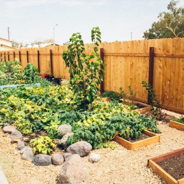 Harvest Edible Garden Inspiration