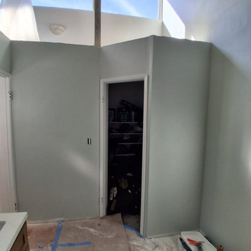 Del Mar Bathroom Remodel | Luxury Spa-Inspired Renovation