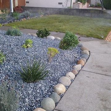 New Front Yard. Grass, Planting and Pebbles in San Pablo CA