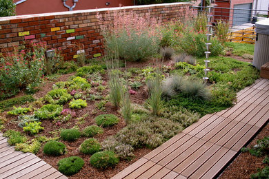 Photo of an eclectic landscaping in Denver.
