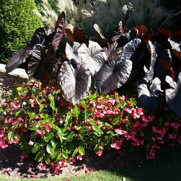 Spring Flower Gardens from Scenic Design Group from 2014