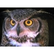 Jeffrey Lanham's photo