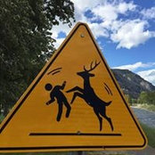 Jan Venturelli's photo