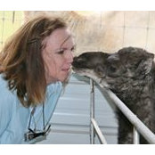 Cherilyn Wilson's photo