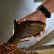 Pam Nobles's photo