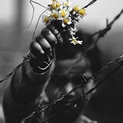 Maria Luisa's photo