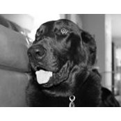 Roxanne Daugherty's photo