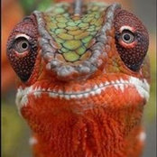 Bernadine Smyth's photo