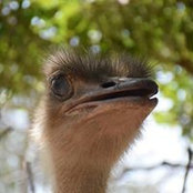 Foto von Guillaume Dosser