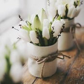 Foto de Duyen Phan
