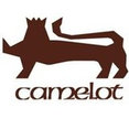 Camelot Real Fires's profile photo