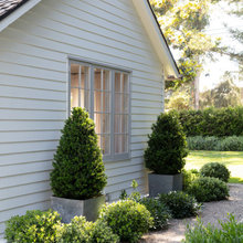 Tie in yard to patio/ Stoltzfus
