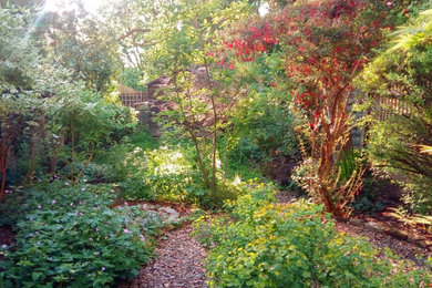 Garden in Kent.