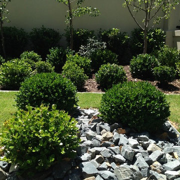 Rose Park Garden
