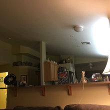 Cat's ideas