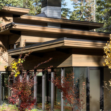 Arboreal House