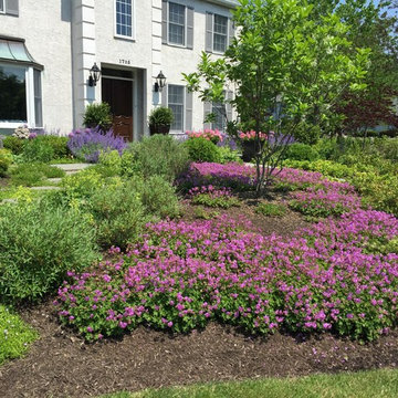 Native Landscape