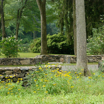 Natural Stone Walls