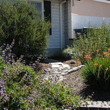 Backyard ideas