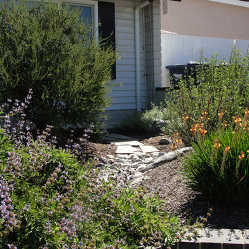 California Native Landscapes