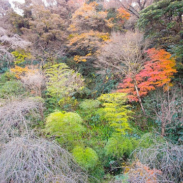 鎌倉の風景