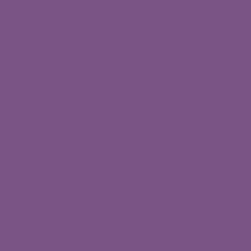 Passionate Purple - Paint