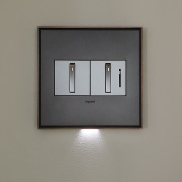 adorne® Whisper Switches in 2-Gang Wall Plate