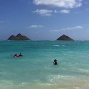 Jacqueline Bodner's photo