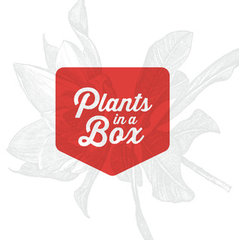 Plants in a box