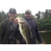 Tyler Davitto's photo